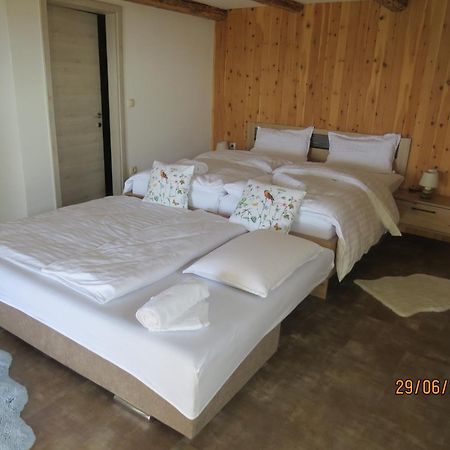 Studio 1111 With Sauna & Hot Tub Dravograd Exterior photo