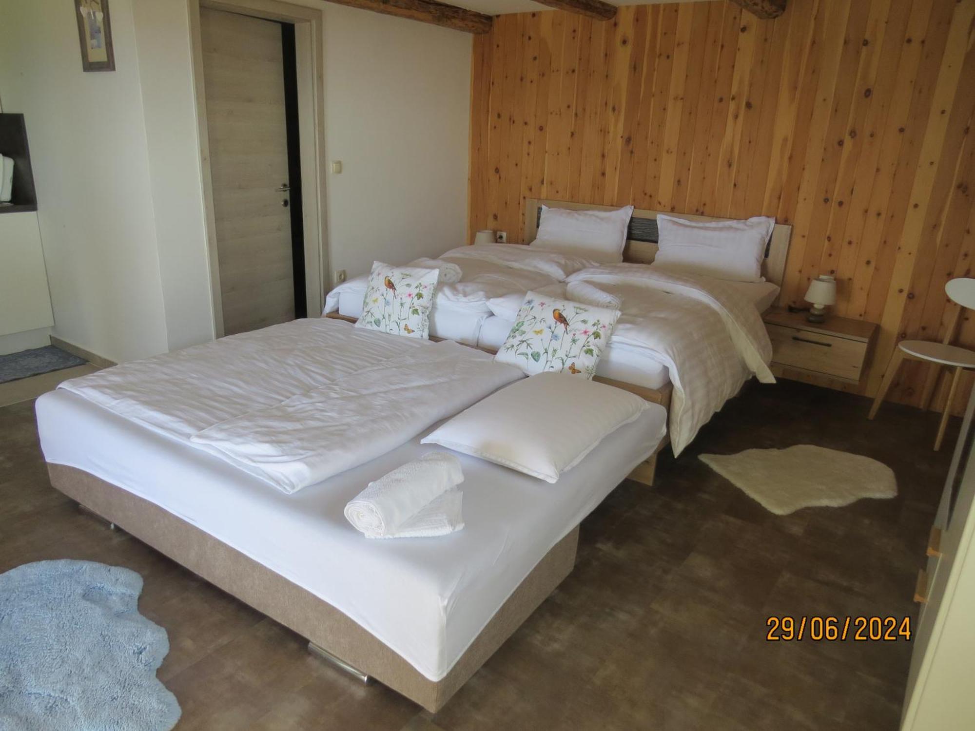 Studio 1111 With Sauna & Hot Tub Dravograd Exterior photo